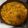 El cooksnap de Jose cuando hizo Arroz con conejo.