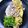 ian Bursnall 's cooksnap of when they made Omelette, mushroom, broccoli & soft Gorgonzola.