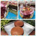 Cooksnap dari Hu Xiuling untuk resep Bolu jadul vanilla topping keju