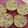 michie603's cooksnap of when they made Zucchini Muffins.