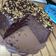 Cooksnap dari ilona bakker untuk resep CAKE KUKUS COKLAT JUARA (BOLU KUKUS COKLAT base cake kue tart 18
