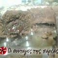Cooksnap από Adamantia 88 στη συνταγή Κέικ Αυστρίας 13΄