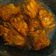 Cooksnap dari Nies Sucipto untuk resep Sayap Ayam Saus Tiram (Tiga Bahan)