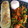 El cooksnap de Igsa Castillo cuando hizo Zapallo italiano relleno vegetariano.