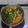 Cooksnap dari Meila Risffa Wenny untuk resep Sup bayam bening