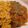 Simon Easson's cooksnap of when they made Chicken bhuna.