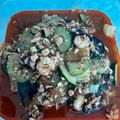 Cooksnap dari ririn idol untuk resep Jjampong, Sup kuah seafood Korea. Pedes, gampang dan seger