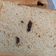 Cooksnap dari tjen yulia untuk resep Roti tawar gandum enak empuk dan lembut