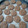 El cooksnap de Sergio cuando hizo Mis galletas veganas de avena, maní y chocolate.