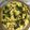 Geeta Khurana's cooksnap of when they made Besan Dhokla.