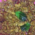 Cooksnap dari novita afdiani untuk resep Orek Tempe Kering Pedas Manis