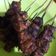 Cooksnap dari Ismundarti untuk resep Sate Tempe Pedas
