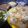 Vaishali Patel's cooksnap of when they made પાણી પૂરી (Pani Puri Recipe in gujarati).