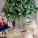Cooksnap dari sekar ayu untuk resep Banana Custard Pudding