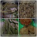Cooksnap dari eldsnta_ untuk resep Nasi Liwet Mang Otong