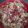 bob78521's cooksnap of when they made Pasta Carbonara.