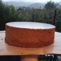 Cooksnap dari Indri Young untuk resep Ontbijtkoek / bolu spikuk