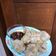 Cooksnap dari Farah Shabrina Putri untuk resep Tahu walik aci