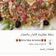 صورة من 🍓🍓 عالم ام أماني _oum amani🍓🍓، شاركها بعد تجربة وصفة سلطة معكرونة
