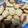 El cooksnap de Mileth cuando hizo GALLETAS DE LIMON!!!.