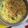 Cooksnap dari Luluk untuk resep Opor Ayam simpel