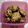 Cooksnap dari Ayu Oka Ariani untuk resep Banana Choco Chips Soft Cookies