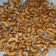 Cooksnap dari linasaricut untuk resep Kacang Mete Goreng Renyah