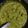 Binita Patel's cooksnap of when they made Palak paneer.