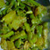 kavita goel का कुकस्नैप जब उन्होंने सेमी आलू की सब्जी (semi aloo ki sabzi recipe in Hindi) बनाया था।