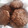 El cooksnap de Noemi Ferreiro cuando hizo Galletitas de Avena y Cacao🍪.