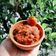 Cooksnap dari Sofie Hana untuk resep Sambel Strawberry 🍓🍓