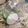 Chef Bon Bon's cooksnap of when they made QOTW: What is your favorite way to peel garlic?.