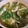 Cooksnap dari rachelarianne untuk resep Sup Ayam Bumbu Meresap