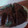 El cooksnap de Sharon Bentancourt cuando hizo Torta al microondas.
