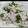 Bhumi Parikh's cooksnap of when they made સુરતી ઇદડા (Surti Idada Recipe In Gujarati).