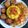 Cooksnap dari Fitha Handini untuk resep Nasi Kuning Rice Cooker a. k. a (Tumpeng Mini)