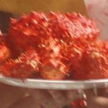 El cooksnap de ferran cuando hizo Copa de centolla.