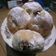 Cooksnap dari Chie Aya untuk resep Bomboloni Super Empuk Kempus
