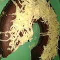 Cooksnap dari Nur Azizah untuk resep Brownies chocolatos kukus simpel (tanpa mixer)