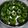 Cooksnap dari sandy lawrenz untuk resep Nona Manis