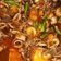 Cooksnap dari Yani Supartini untuk resep Udang cumi saos padang
