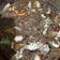 Cooksnap dari yastyas untuk resep Tongseng iga sapi