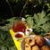 Cooksnap dari Susi Darmawan/IG @d_sus14 untuk resep Tape goreng tepung/rondo royal