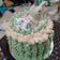 Cooksnap dari nita safitri untuk resep Rainbow Cake Panggang - newbie friendly 🤑