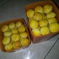 Cooksnap dari Titi Munip untuk resep Nastar lumer kinclong