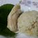 Cooksnap dari Rini Palupy untuk resep Nasi ayam hainan
