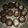El cooksnap de caranasanchez cuando hizo Alfajores de chocolate.