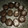 El cooksnap de caranasanchez cuando hizo Alfajores de chocolate.