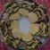 Cooksnap dari Ocin Husni untuk resep Leopard Chiffon Cake