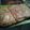 El cooksnap de JenySakura cuando hizo Hojaldres rellenos de Verduras, Jamón y Queso.
